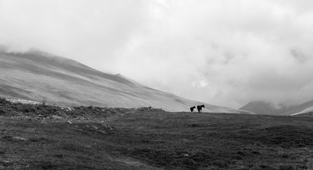 Photograph by Исам Хадж Ехья