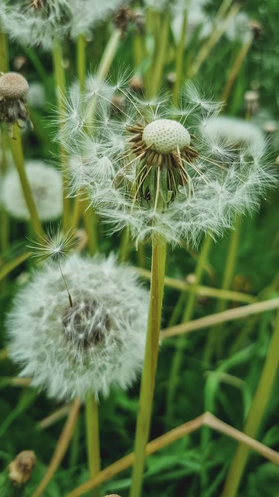 Photograph by Юлия Мулданин