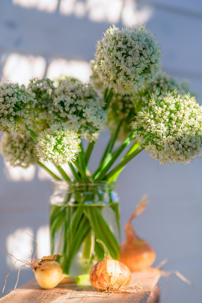 Photograph by Евгений Калагаев