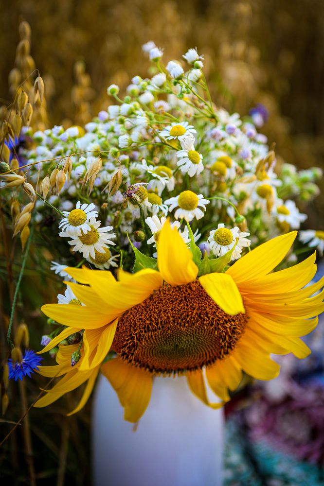 Photograph by Светлана Солдатченкова