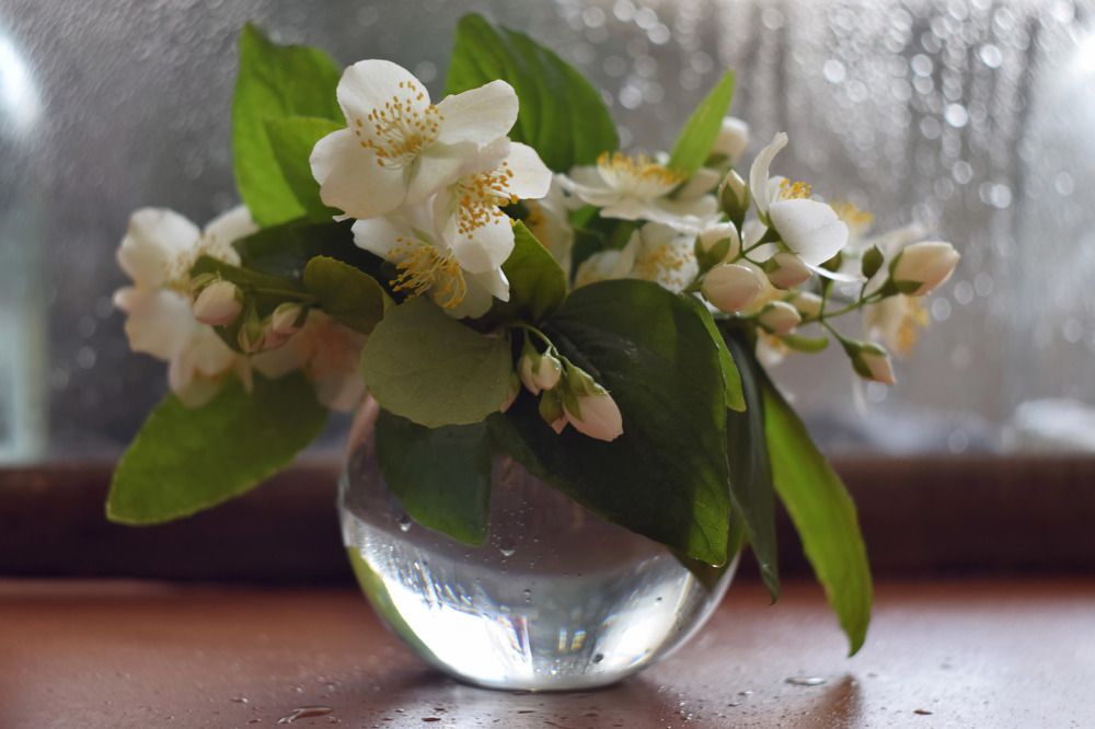 Photograph by Елена Войнова