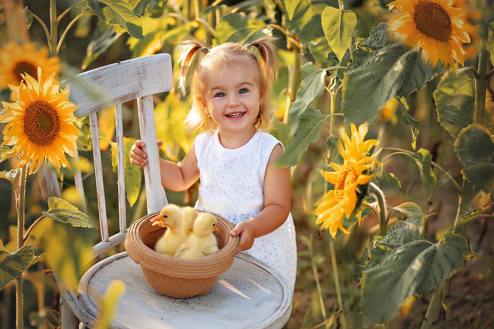 Photograph by Волкова Алена