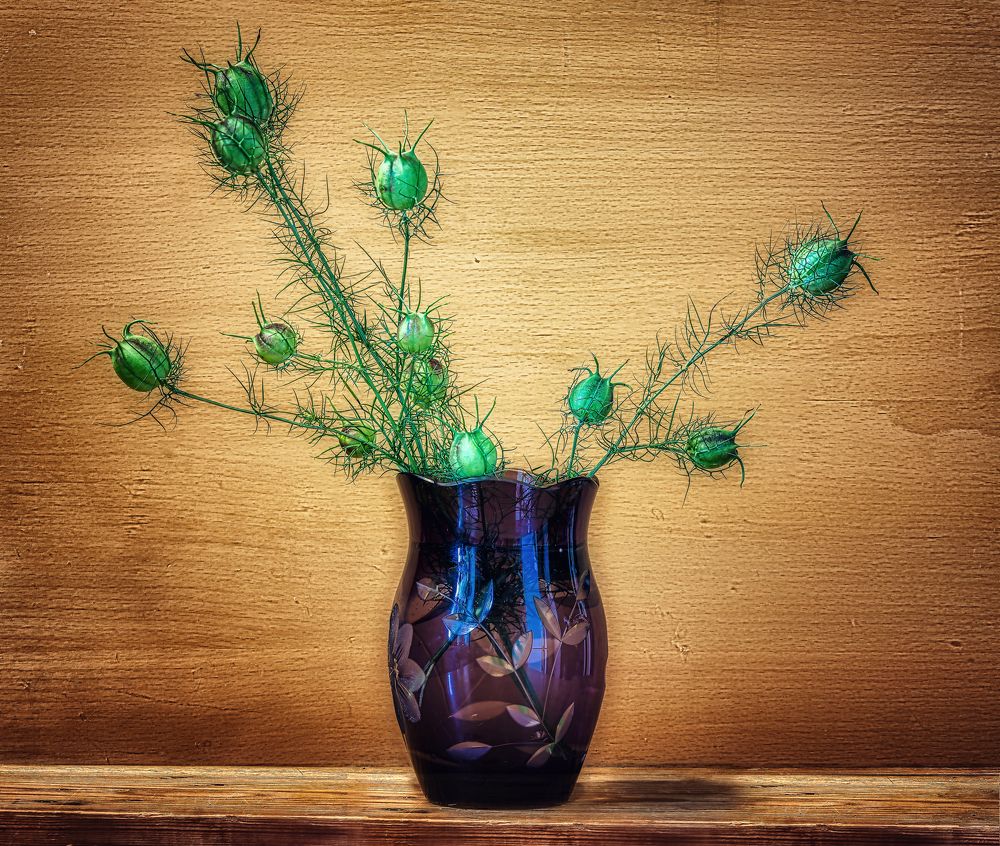 Photograph by Владимир Кваша