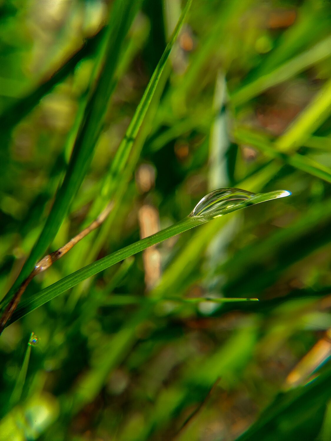 Photo #7888255