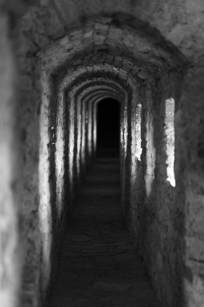 Photograph by Сергей Поляков