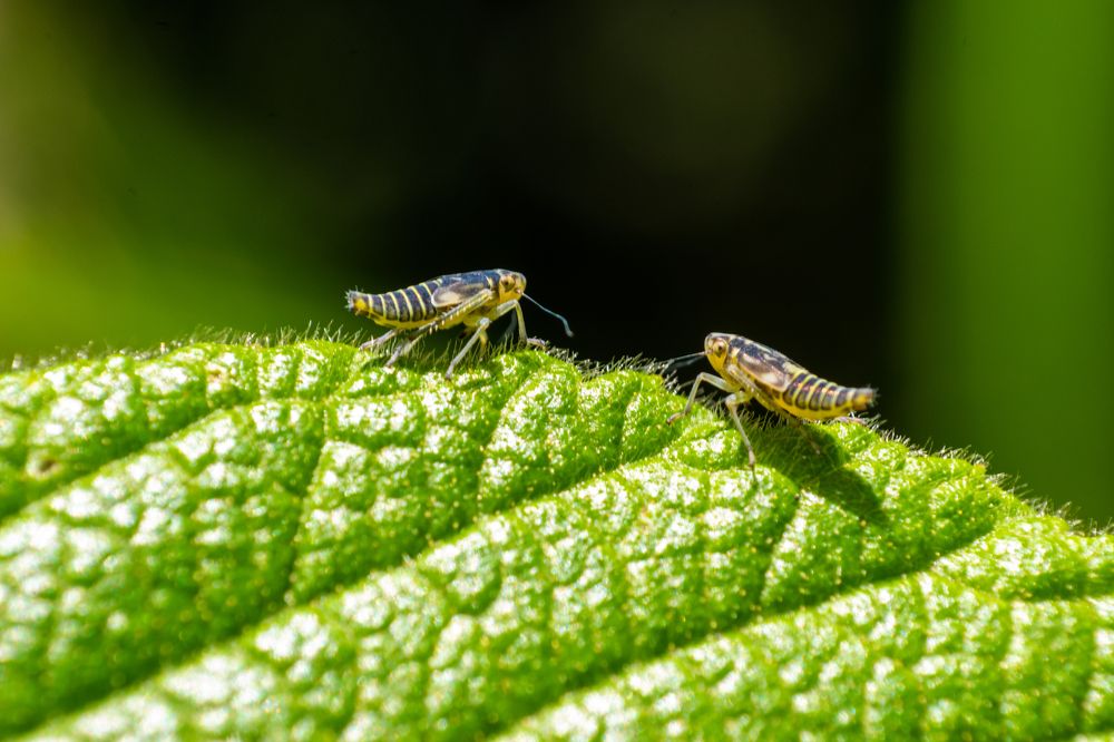 Фотография автора Jose Marcos Carvajal Tarazona