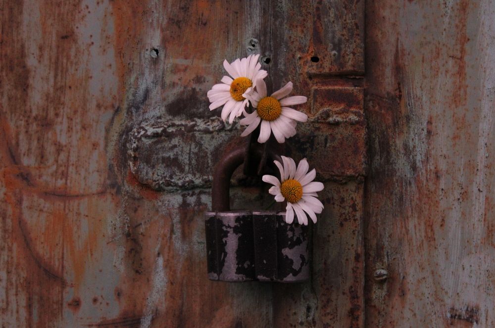 Photograph by Ирина Чечкина