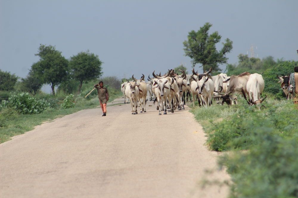 Photograph by Sarmad Sindhi