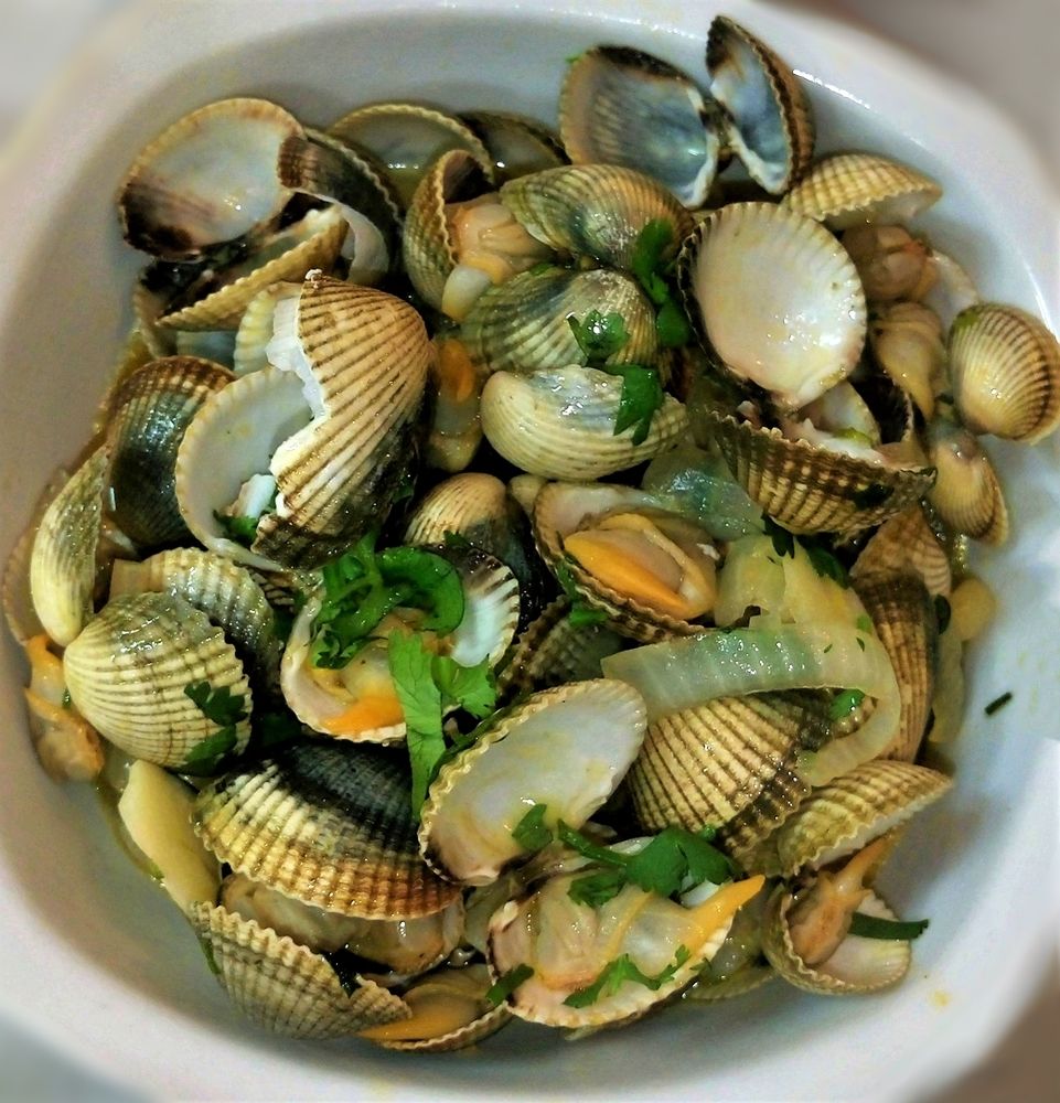Clams