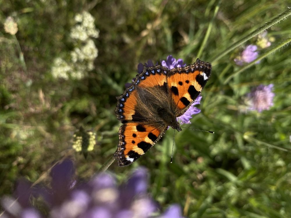 Photograph by Анастасия