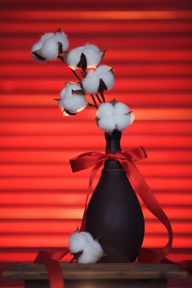 Photograph by Шот Анна