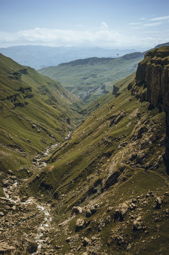 Photograph by Алина Логвиненко