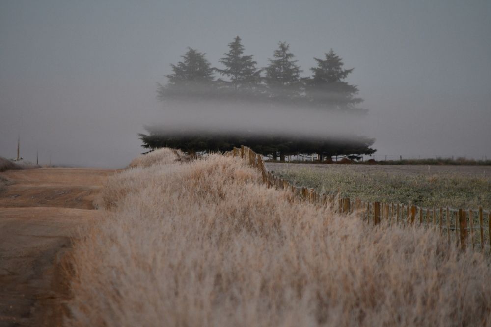 Photograph by Alfredo Jacquemard