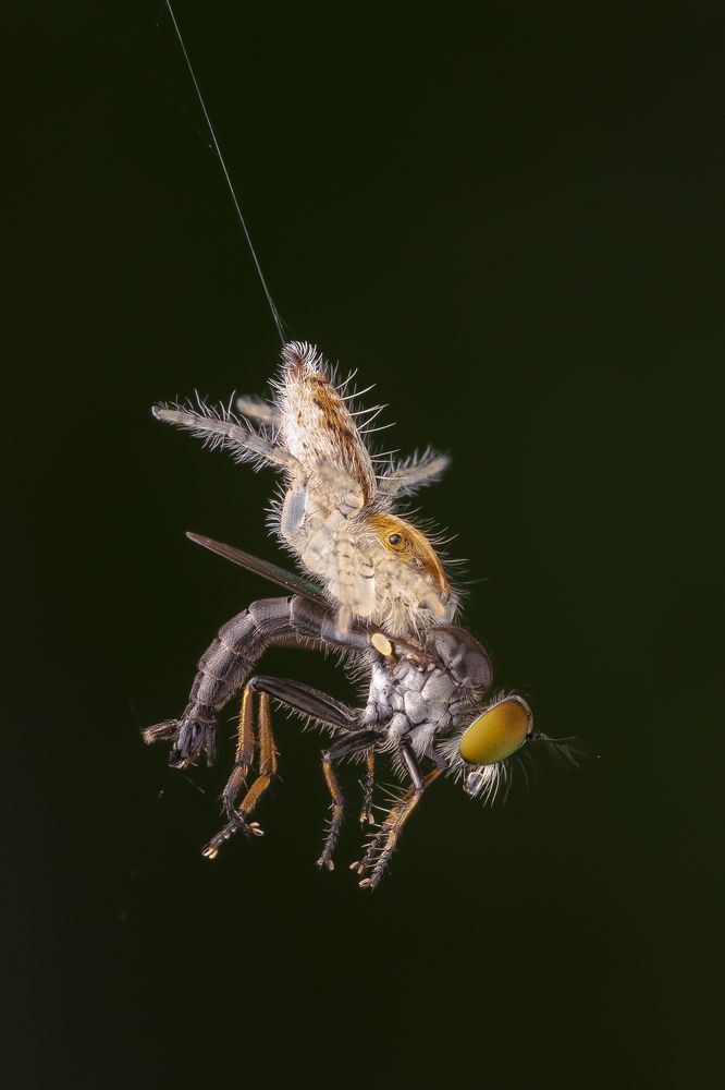 Photograph by Sumanta Dutta