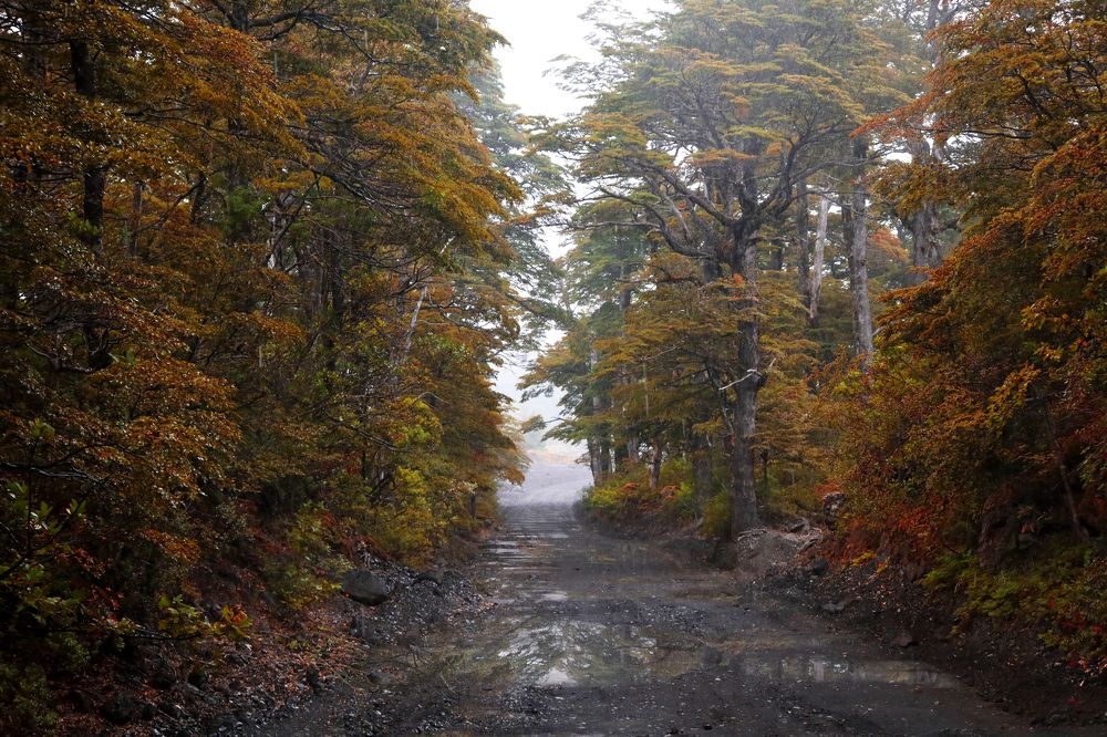 Photograph by Gonzalo Jorge Eduardo MARÓN