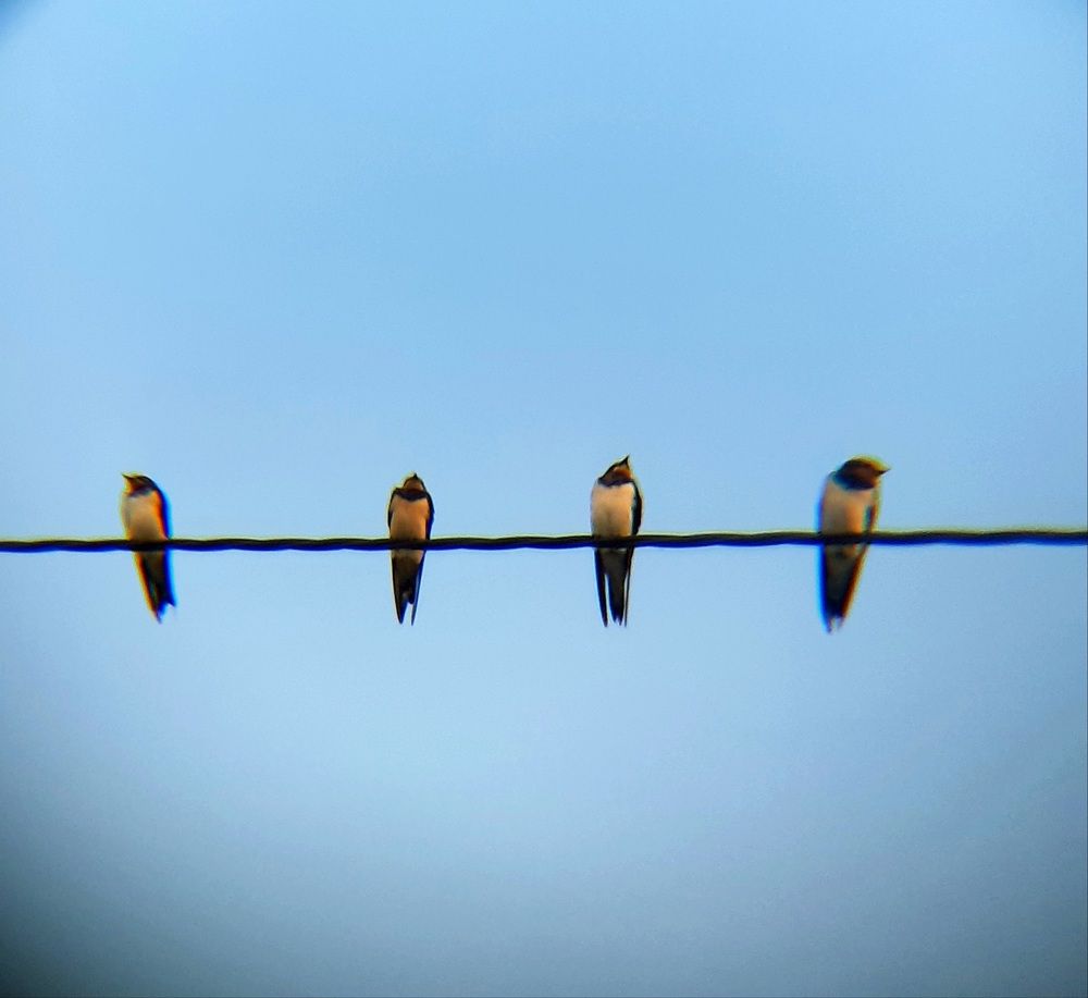 Фотография автора Paul Anton Mahinay