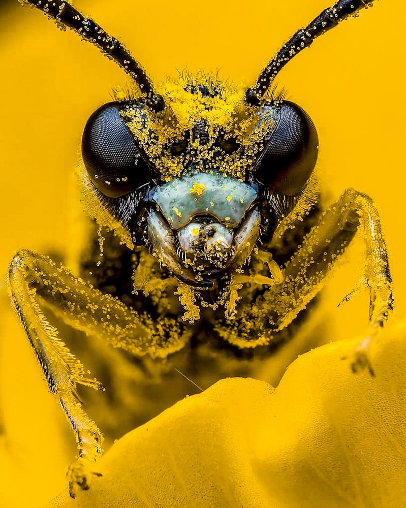 Photograph by Prakash Kumar