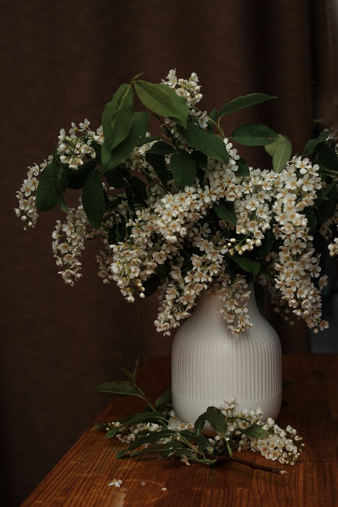 Photograph by Elena Mishchenko