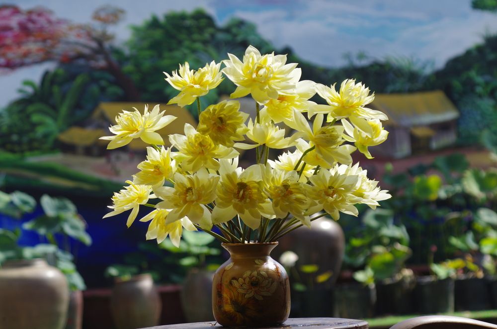 Photograph by Vo Thanh Vinh