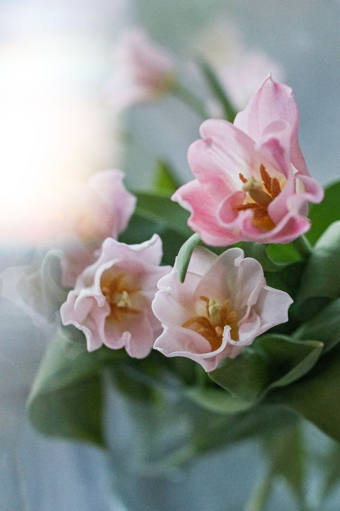 Photograph by Марина Савинская