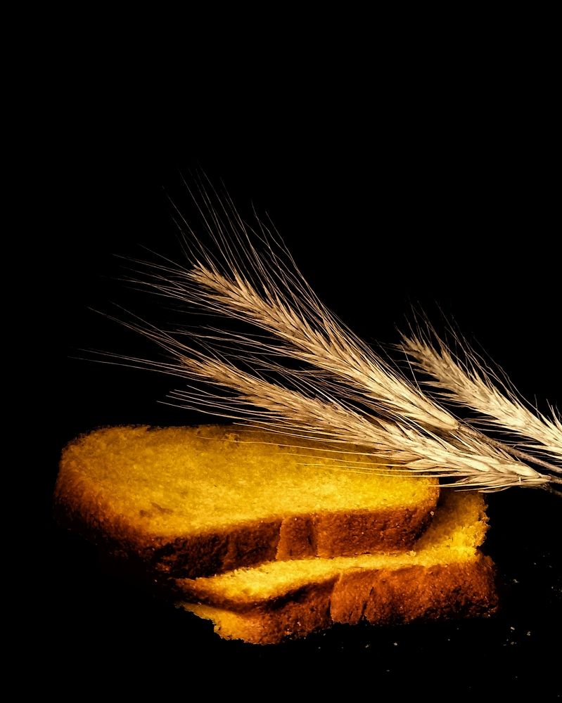 Photograph by Svetlana Yurasova