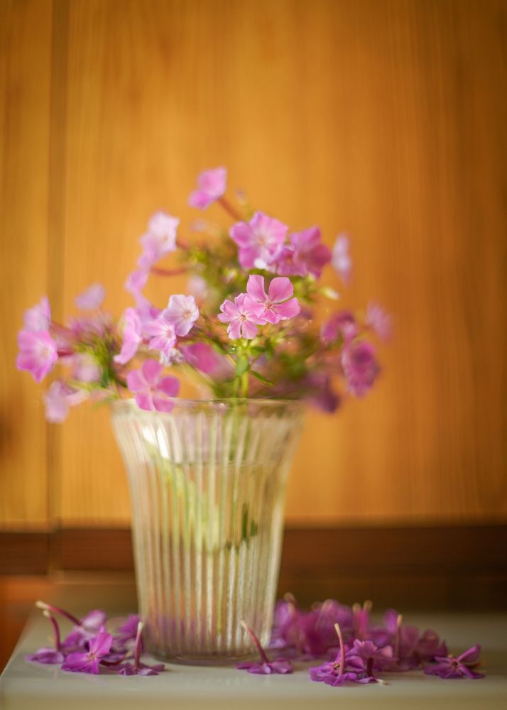 Photograph by Александр Кочергин