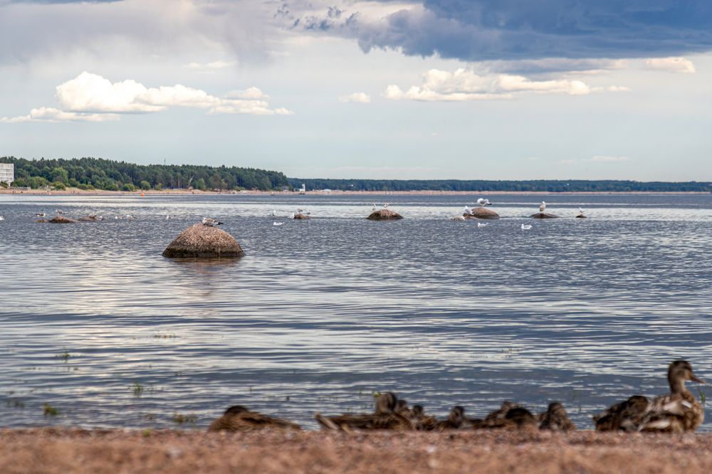 Photograph by Дмитрий Соковых