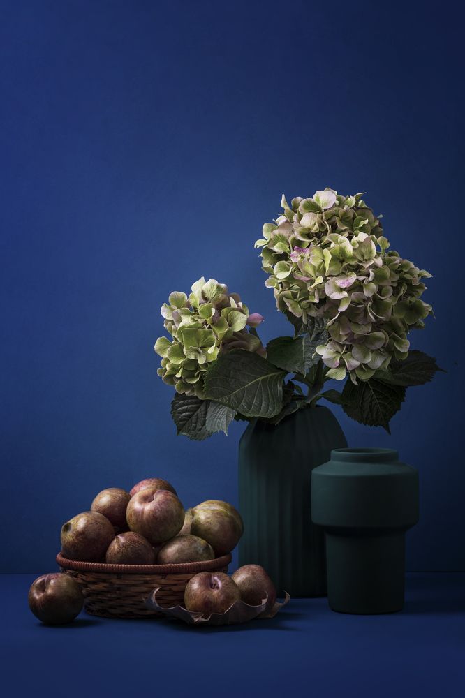 Натюрморт с гортензией и сливами