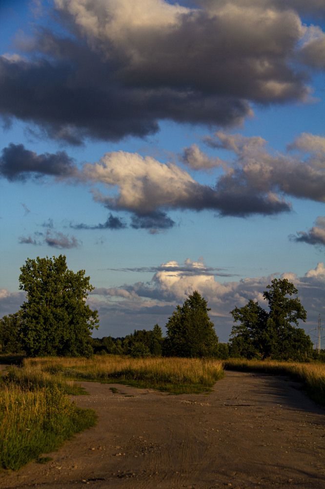 Photograph by Дмитрий Селицкий