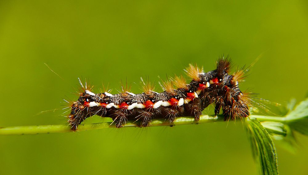 Photograph by Алексей Чернов