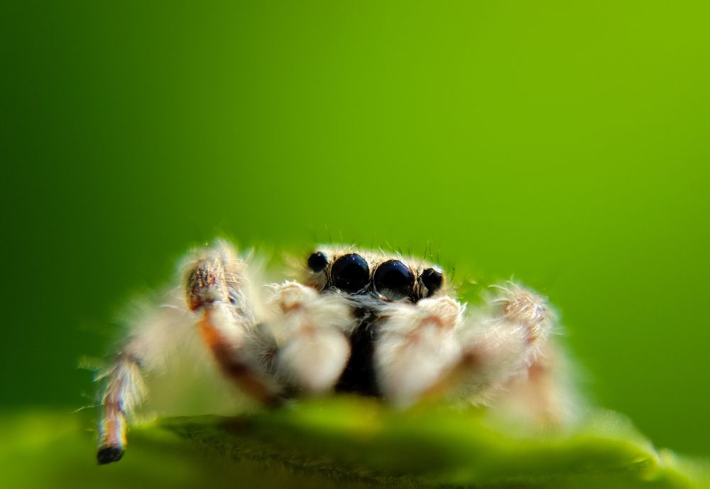 Photograph by Harshad vaghela