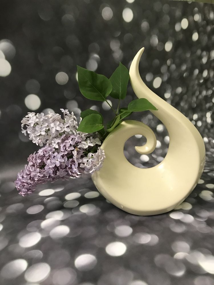 Photograph by Татьяна Шибанова