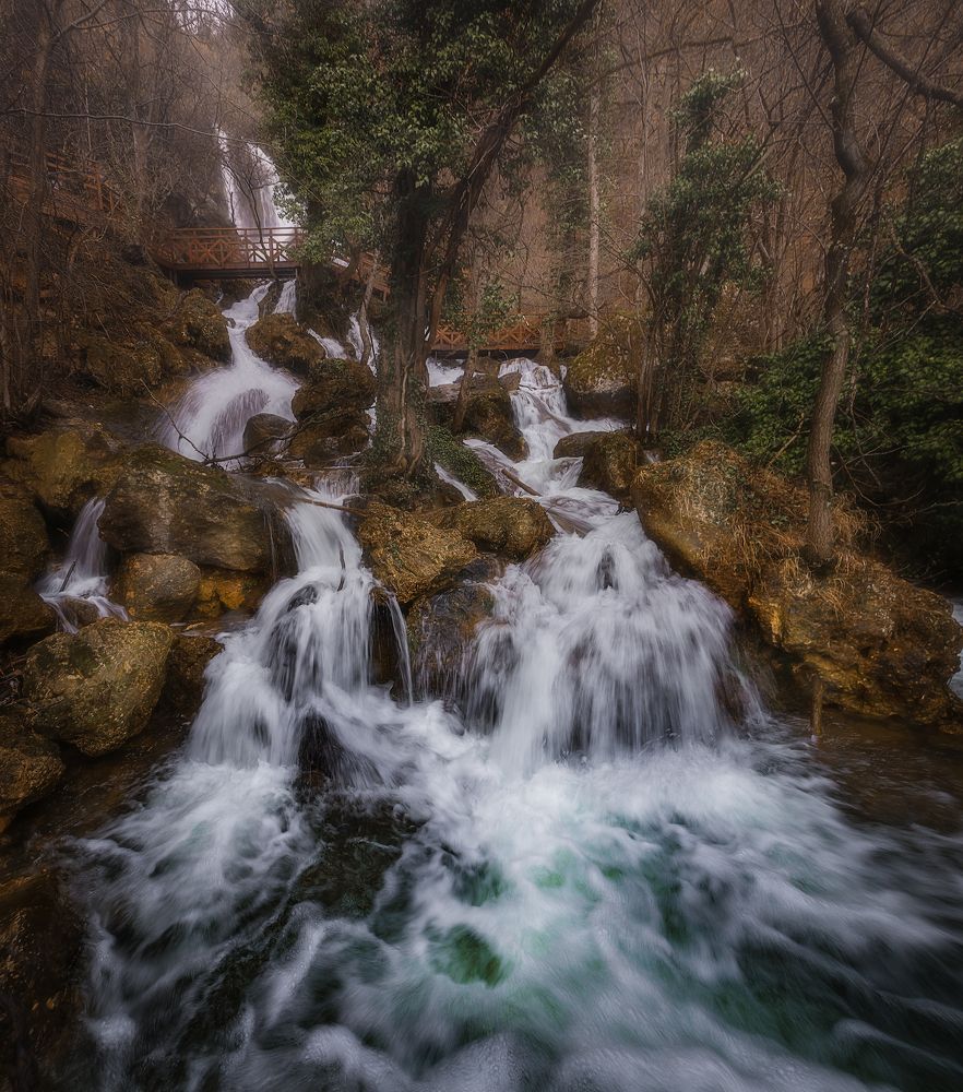 Photograph by Сергей Черкасов