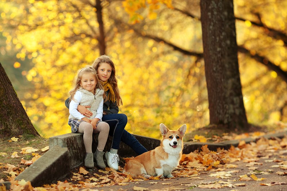 Photograph by Нина Наумик