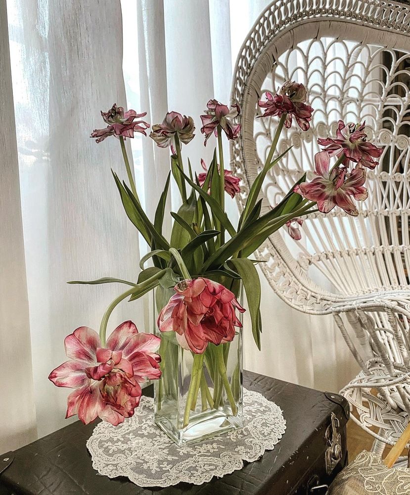 Photograph by Antonina Zazulina