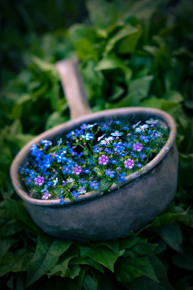 Фотография автора Roman Penkov