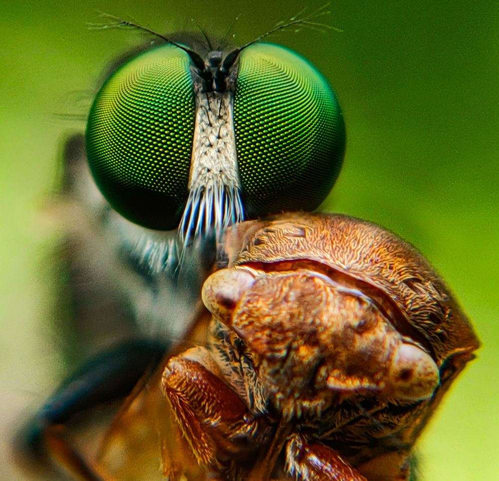 Photograph by Ajeesh A