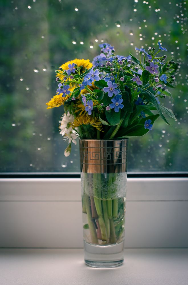 Фотография автора Roman Penkov