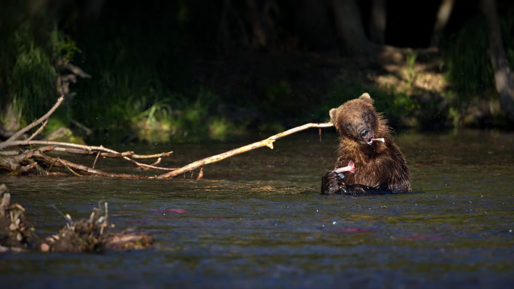 Чего уставился?