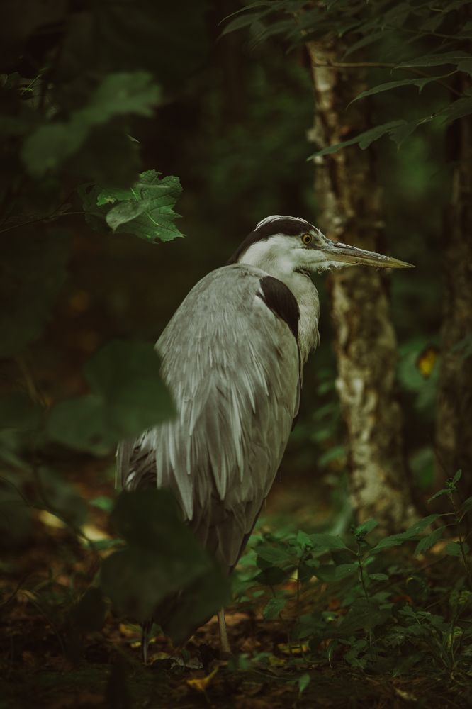 Photograph by Никита Шкуркин