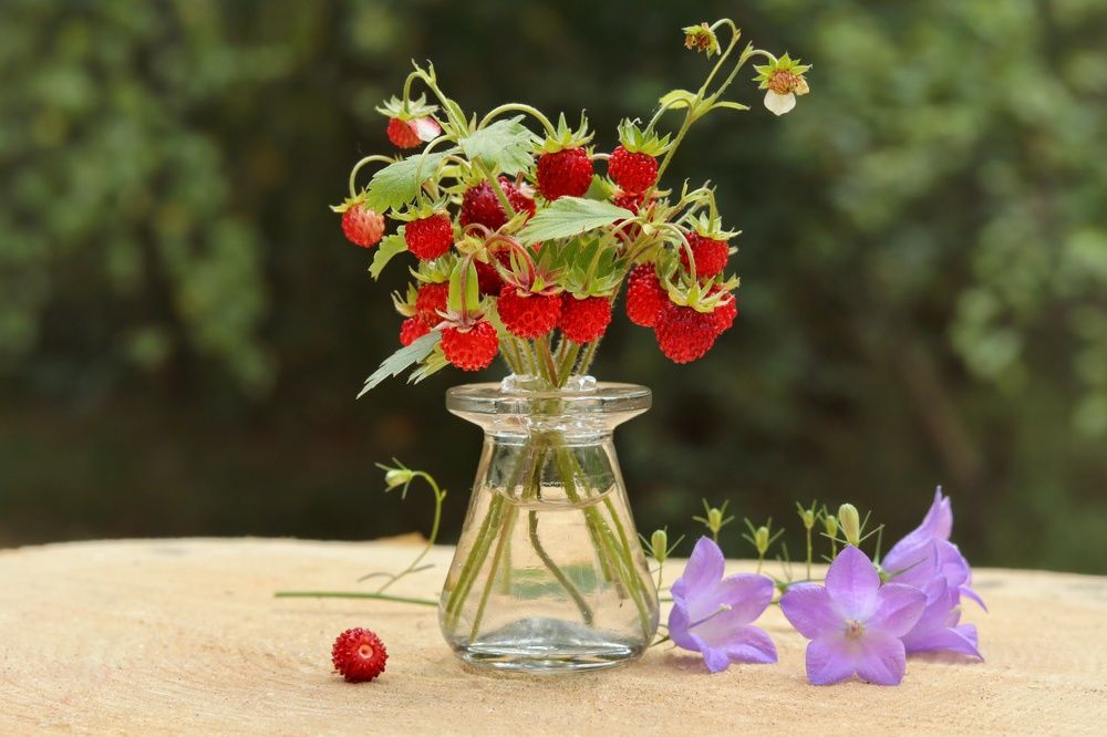 Photograph by Елена Белехова