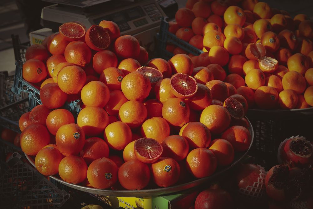 Photograph by Mostafa Mortazavi