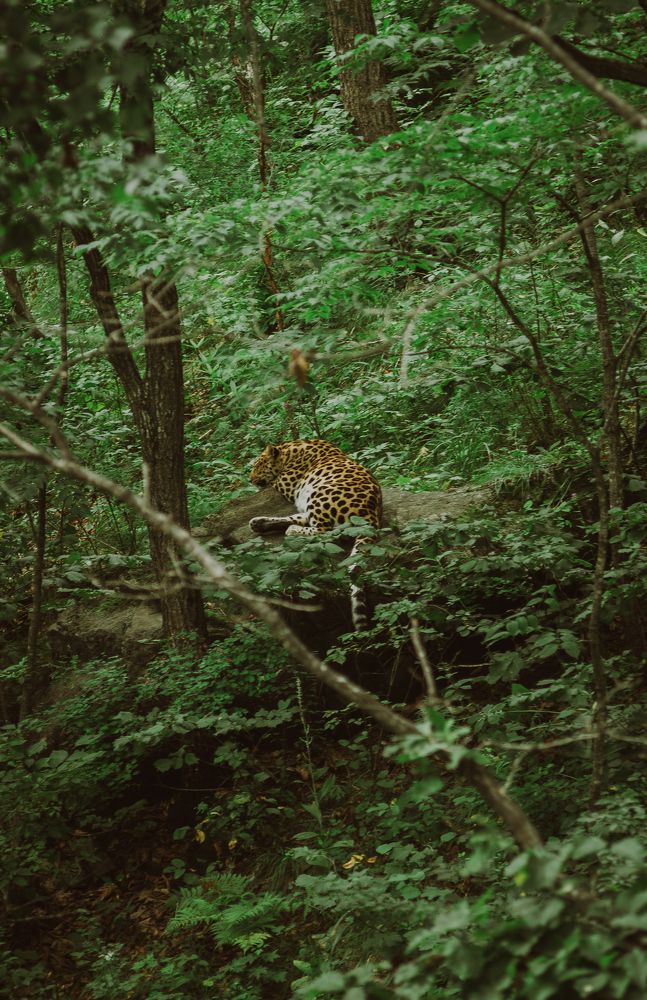 Photograph by Никита Шкуркин