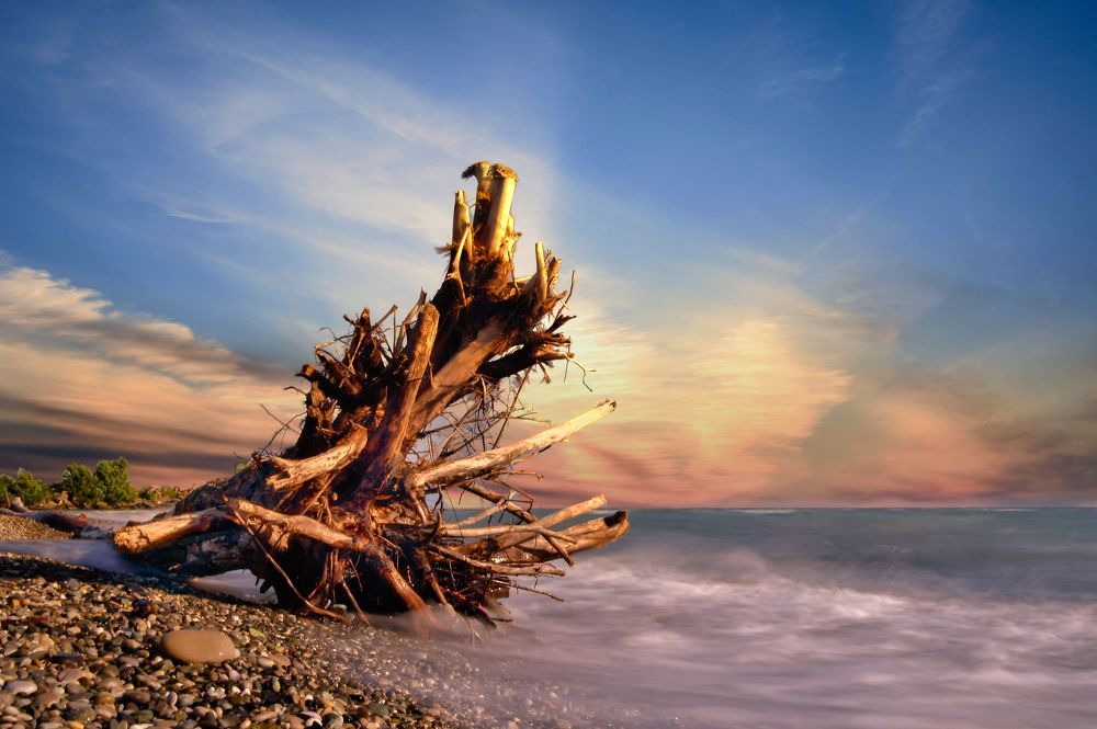 Photograph by Олег Волков