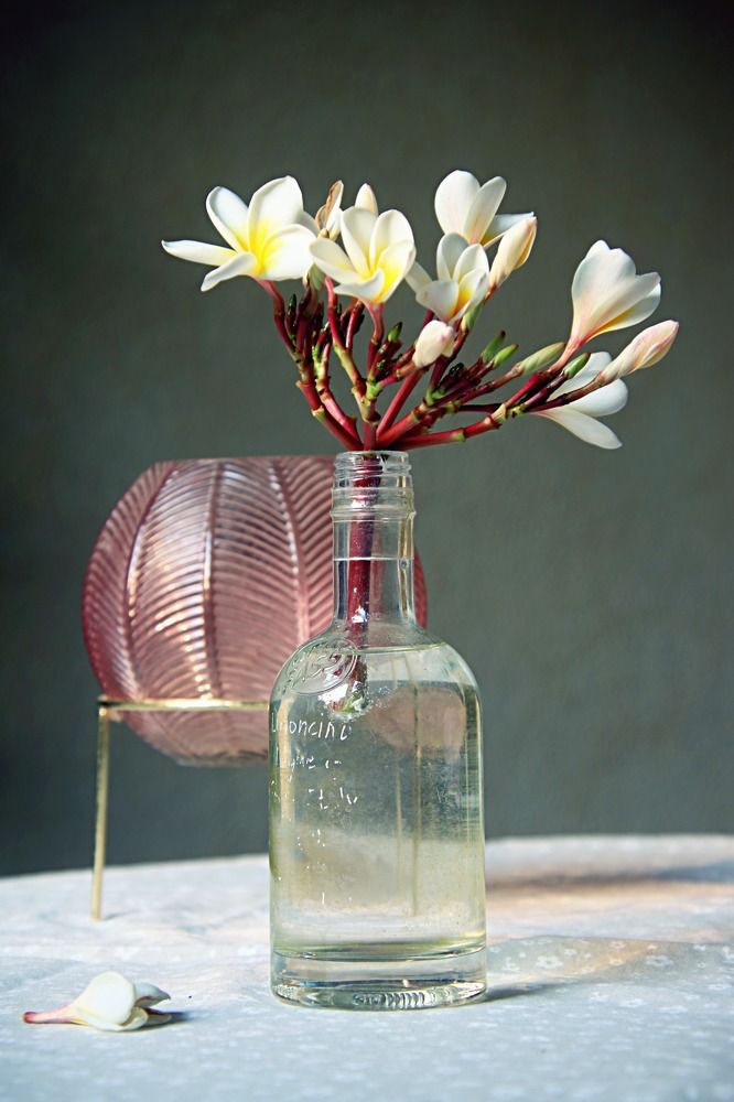 Photograph by Irina Radzinskaya