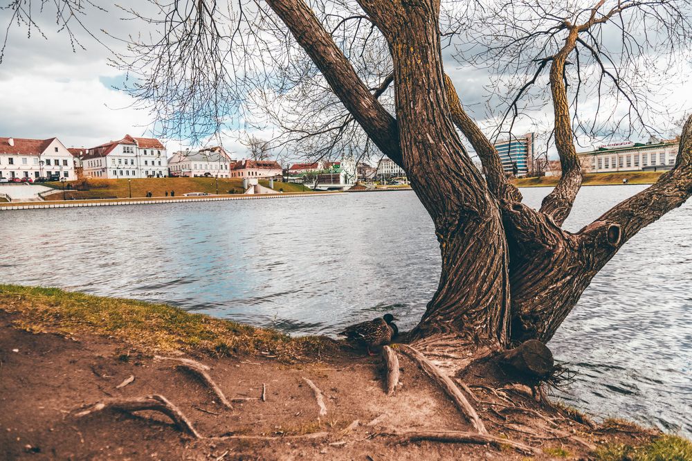 Photograph by Дмитрий Соковых