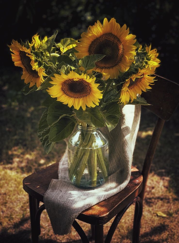 Photograph by Виктория Селютина