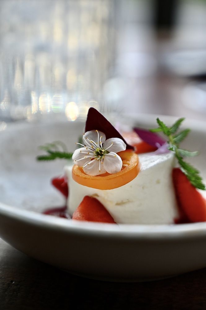 Сыр с цветками вишни