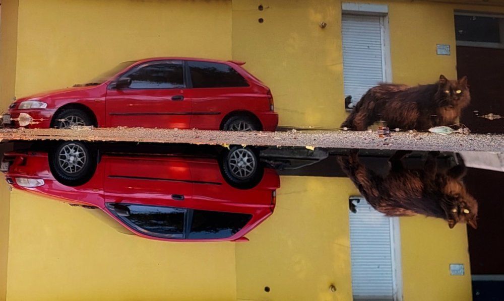 Photograph by Светлана Усатенко