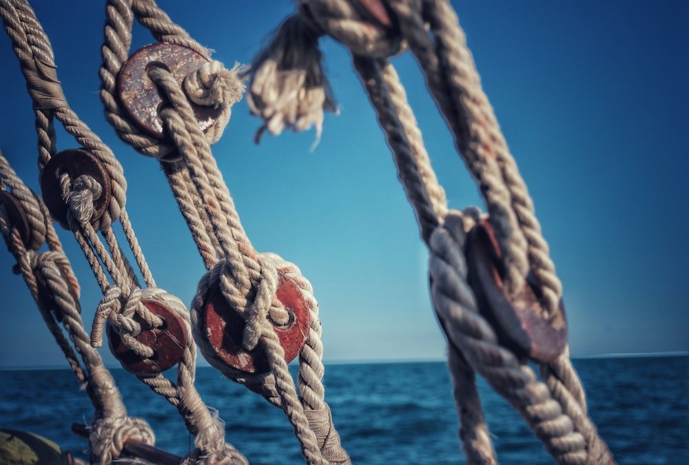 Морской дьявол в мелочах